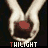 Twilight icon graphics