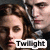 Twilight icon graphics