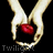 Twilight icon graphics