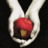 Twilight icon graphics