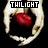 Twilight icon graphics
