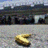 Banana icon graphics