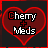 Cherries icon graphics