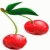 Cherries icon graphics