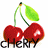 Cherries icon graphics