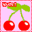 Cherries icon graphics