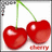 Cherries icon graphics