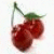 Cherries icon graphics