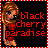 Cherries icon graphics