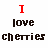Cherries icon graphics