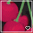 Cherries icon graphics
