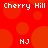 Cherries icon graphics