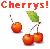 Cherries icon graphics