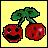 Cherries icon graphics