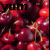 Cherries icon graphics
