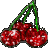 Cherries icon graphics
