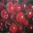Cherries icon graphics