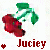 Cherries icon graphics