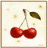 Cherries icon graphics