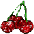 Cherries icon graphics