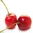 Cherries icon graphics