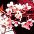 Cherries icon graphics