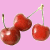 Cherries icon graphics