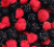 Cherries icon graphics