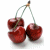 Cherries icon graphics