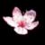 Cherries icon graphics