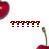 Cherries icon graphics