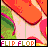 Flip flops icon graphics