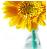 Flowers icon graphics