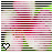 Flowers icon graphics