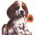 Flowers icon graphics