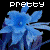 Flowers icon graphics