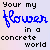 Flowers icon graphics