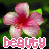 Flowers icon graphics