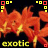 Flowers icon graphics