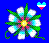 Flowers icon graphics
