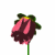 Flowers icon graphics