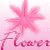 Flowers icon graphics