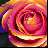 Flowers icon graphics