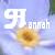 Flowers icon graphics