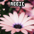 Flowers icon graphics