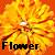 Flowers icon graphics
