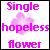 Flowers icon graphics