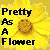 Flowers icon graphics