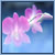 Flowers icon graphics
