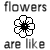 Flowers icon graphics
